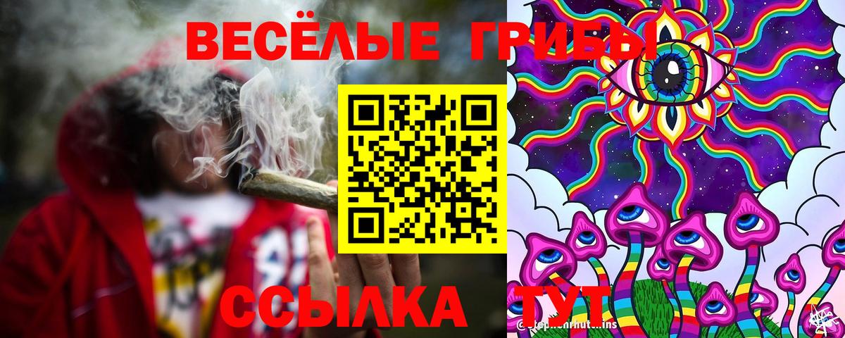 Крымск  Галлюциногенные грибы GOLDEN TEACHER  Галлюциногенные грибы Psilocybe  Вход с VPN 