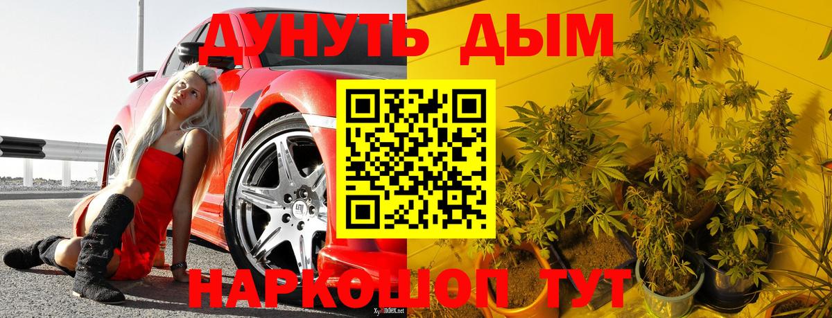 МАРИХУАНА гибрид  Бошки Шишки семена  Вход с VPN  Канабис OG Kush  Крымск 
